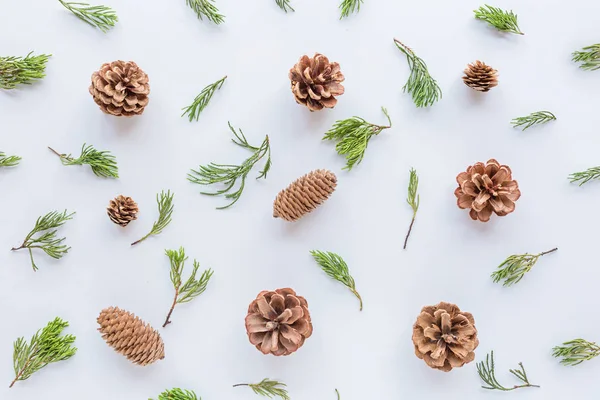 Vánoční kompozice s kužely a jedlovými větvemi na bílém. novoroční koncept. Pozdrav, zimní prázdniny, vánoční oslavy2020. Byt ležel, horní pohled, kopírovací prostor, mockup, šablona — Stock fotografie