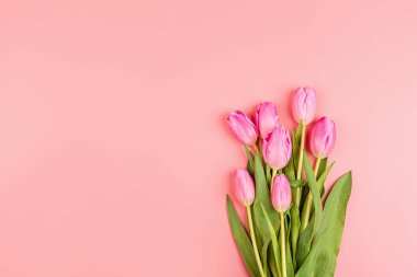 Yukarıdan laleleri ve fotokopi alanı olan hediye kutusunu izle. Kadınlar Günü için arka plan, 8 Mart Sevgililer Günü, 14 Şubat. Düz yatış stili, üst görünüm, model, şablon, genel giderler. Tebrik kartı