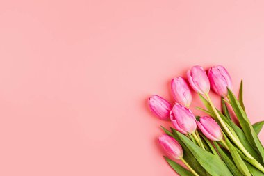 Yukarıdan laleleri ve fotokopi alanı olan hediye kutusunu izle. Kadınlar Günü için arka plan, 8 Mart Sevgililer Günü, 14 Şubat. Düz yatış stili, üst görünüm, model, şablon, genel giderler. Tebrik kartı