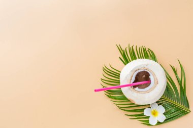 Pastel turuncu arka planda palmiye yaprağı ve hindistan cevizi, üst manzara. Model, genel giderler. Fotokopi alanı olan düz resim. Yaz ve tropik konsept