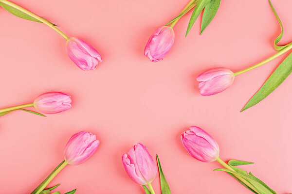 View from above tulips with copy space. Background for womens day, 8 March Valentines day, 14 february. Flat lay style, top view, mock up, template, overhead. Greeting card