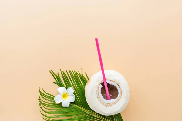 야자나무 코코넛 파스텔 오렌지색 이미지와 — 스톡 사진
