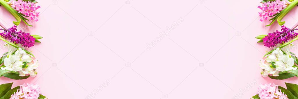 Spring banner with hyacinth flowers on pink pastel background with copy space. Top view, flat lay. Mother's Day or Woman Day Concept.