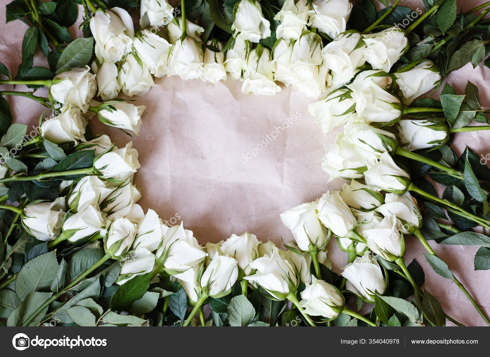 花边边框白色玫瑰花朵在纸的背景上平面布局顶视图复制空间 图库照片 C Alinabuphoto
