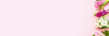 Pembe pastel arka planda sümbül çiçekleri ve fotokopi alanı olan bahar afişi. Üst manzara, düz yatış. Anneler Günü ya da Kadınlar Günü Konsepti.
