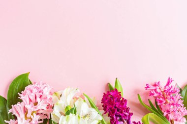 Pembe pastel arka planda sümbül çiçekleri ve fotokopi alanı olan bahar afişi. Üst manzara, düz yatış. Anneler Günü ya da Kadınlar Günü Konsepti.