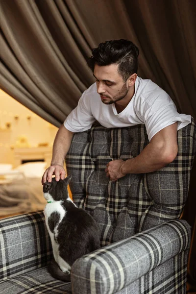 Jovem Cadeira Com Gato Animais Estimação Estilo Vida Fique Casa — Fotografia de Stock