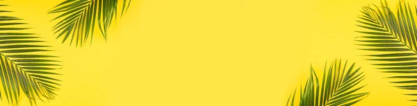 Літня Композиція Листям Тропічної Долоні Жовтому Тлі Плоский Шар Вид — стокове фото