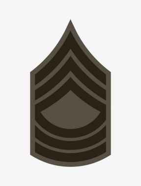 Askeri rütbe ve nişanlar. Çizgili ve köşeli çift ayraçları ordusunun