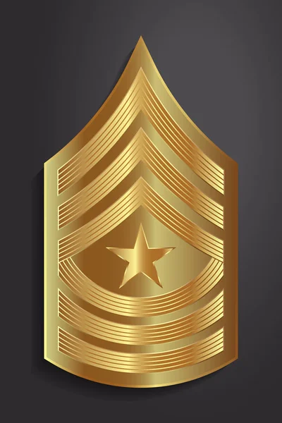 Ranuras militares e insignias. Rayas y Chevrones del Ejército — Vector de stock