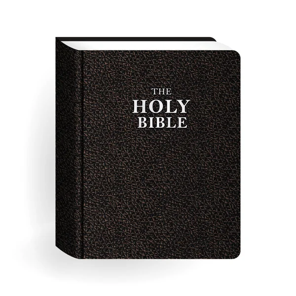 Santa Biblia. Vector Vintage cuero marrón libro — Vector de stock