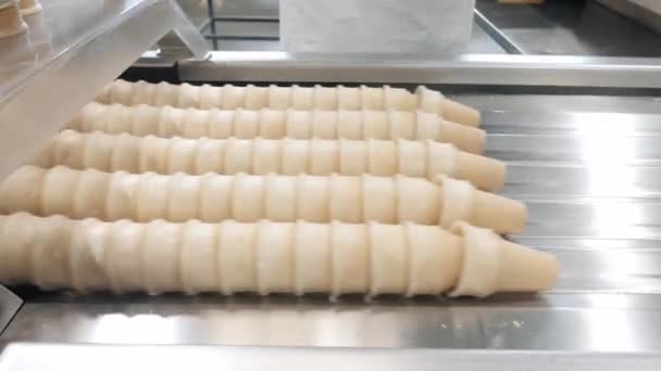 Plant employee takes cooked waffle cups from moving conveyor — Stok video