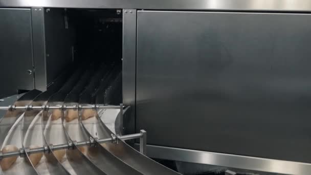 Wafelkegels arriveren op bewegende transportband in fabriek werkplaats — Stockvideo