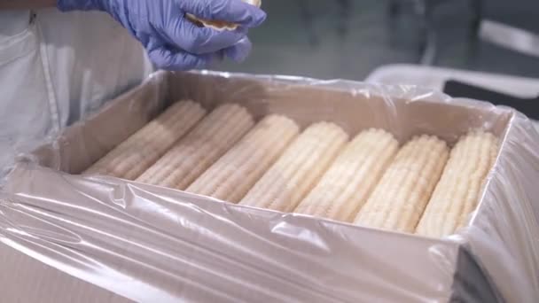 Caixa de pacotes de trabalhador com waffles colocando produtos em fileiras — Vídeo de Stock