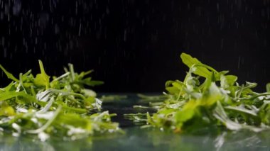 Kırmızı kiraz domatesleri yeşil roka arasında ıslak yüzeye düşer.