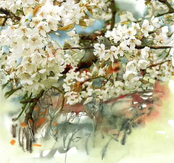 Весенние цветы на цветном фоне — стоковое фото