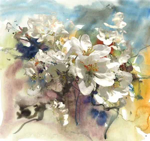 Bunga Apple pada latar belakang abstrak Stok Lukisan  
