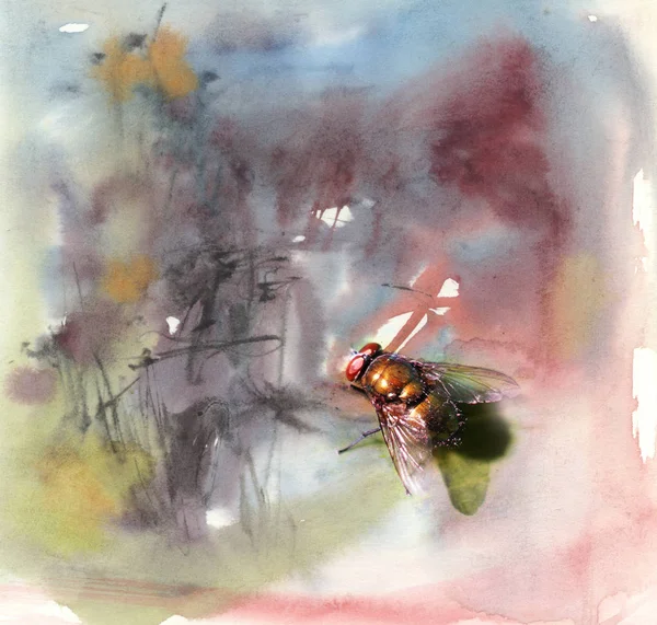 Illustration avec mouche, aquarelle — Photo