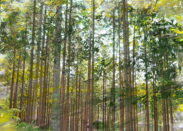 Trees in woods, artistic background mixed technology