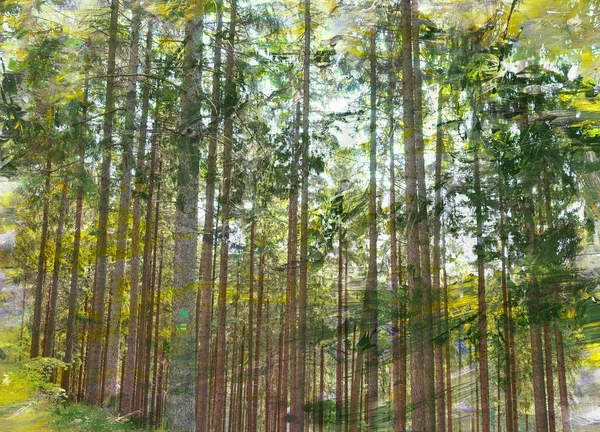 Pohon di hutan, artistik latar belakang teknologi campuran Stok Gambar
