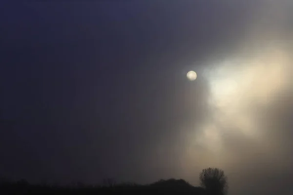 morning sun trying to break through thick fog , Germany