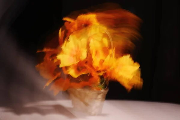 カメラが動くときのぼかし、火、風、日光の抽象的なイメージ. — ストック写真