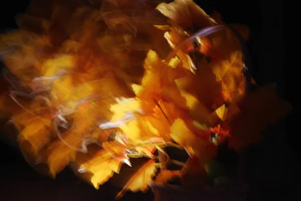 相机移动时模糊不清，抽象的火灾、风或阳光图像. — 图库照片