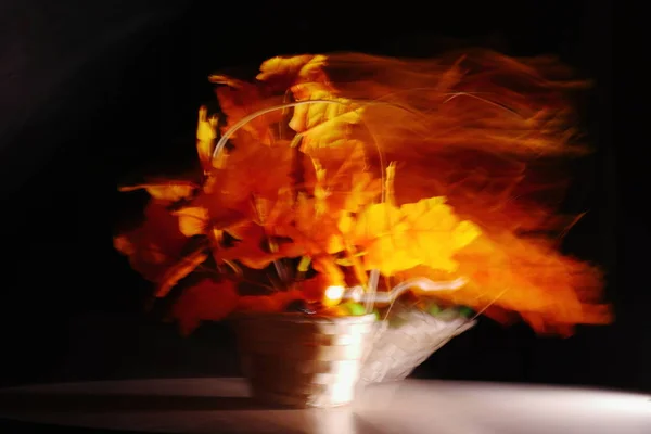 Borrão quando a câmera se move, imagens abstratas de fogo, vento ou luz solar . — Fotografia de Stock