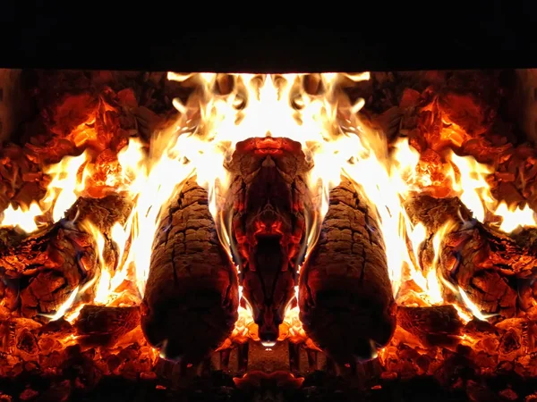 Faszinierende urzeitliche Anziehungskraft von Feuer und Symmetrie: ein fantastisches Tier, ein feuriges Monster, ein feuerspeiender Drache. — Stockfoto