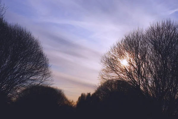 Sol otoñal a través de las ramas de un árbol . — Foto de Stock