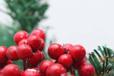 Karla kaplanmış yeşil Noel ağacı.