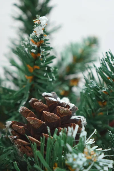 Árbol de Navidad verde ligeramente espolvoreado con nieve . — Foto de Stock