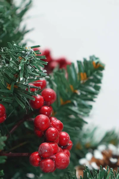 Árbol de Navidad verde ligeramente espolvoreado con nieve . — Foto de Stock