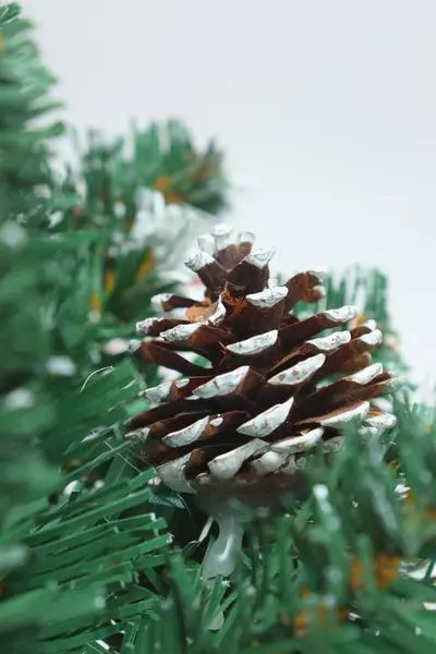 Grön julgran lätt dammas av snö. — Stockfoto