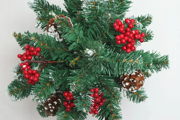 Green Christmas tree lightly dusted with snow. — Stock Photo, Image