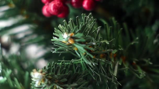 God jul och ett gott nytt år! Grön julgran lätt dammas av snö. Plastträd på en ljus bakgrund med konstgjorda bär och naturliga kottar furu "flyter" framför linsen. — Stockvideo