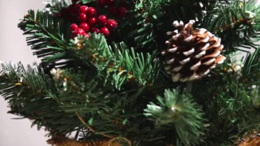 Karla kaplanmış yeşil Noel ağacı.