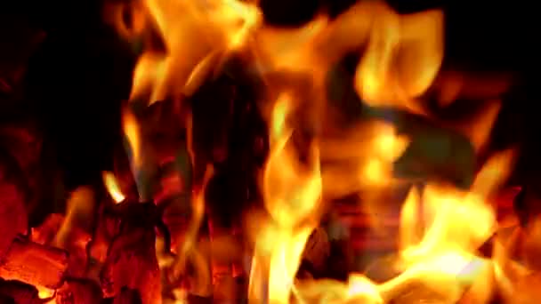 Fascinující magie ohně. — Stock video