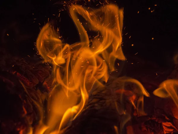 Tanz der orangefarbenen Flammen auf verkohlten Baumstämmen. — Stockfoto