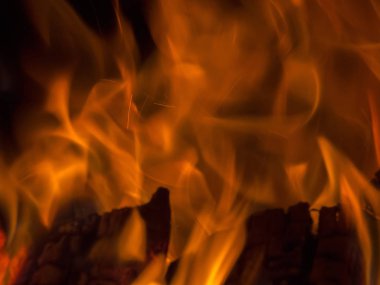 Kömürleşmiş kütüklerin üzerinde turuncu alevlerin dansı.