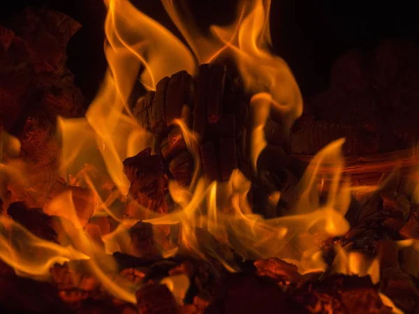 Danza di fiamme arancioni su tronchi carbonizzati . — Foto Stock