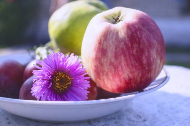 Masada duran güzel kokulu elmalar ve tatlı erikler. Sıcak yaz güneşinde lezzetli meyveler.
