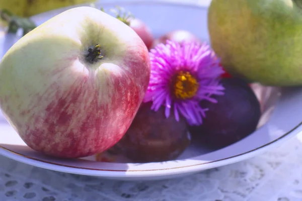 Fragrant apples and sweet plums on a plate standing on the table. Delicious fruits in the warm summer sun.