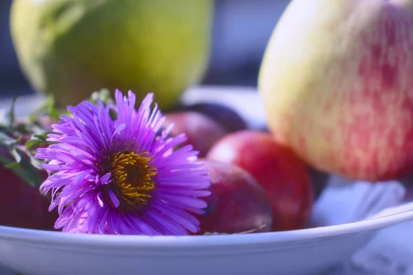 Fragrant apples and sweet plums on a plate standing on the table. Delicious fruits in the warm summer sun.