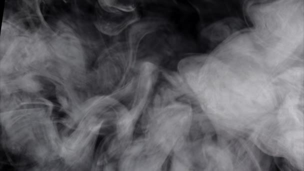 灰色の煙の雲を飛んでいます 白い灰色の煙が黒い背景に広がり 派手なダンスでカールしています — ストック動画