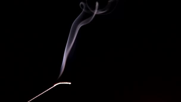I ciuffi di fumo dal bastone dell'incenso lentamente si alzano e si arricciano con bizzarri riccioli in rari tremori d'aria. . — Video Stock