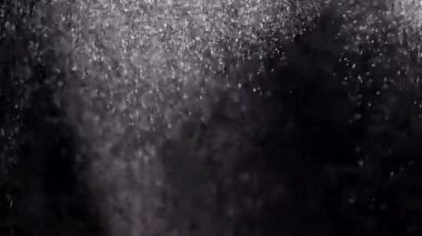 A whimsical dance of snowflakes.