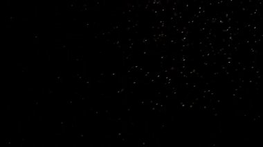 A whimsical dance of snowflakes.