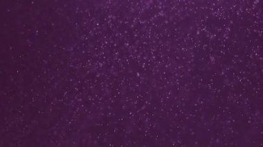 A whimsical dance of snowflakes.