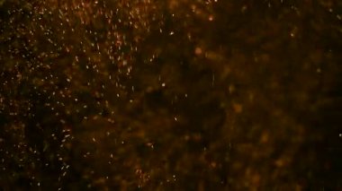 A whimsical dance of snowflakes.